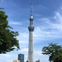 隅田公園からの東京スカイツリー