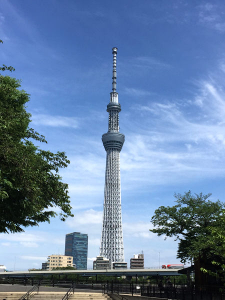 隅田公園からの東京スカイツリー