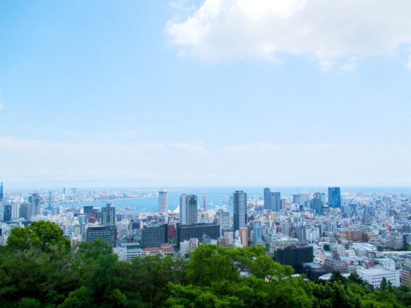 ビーナスブリッジから見た神戸市街地 2