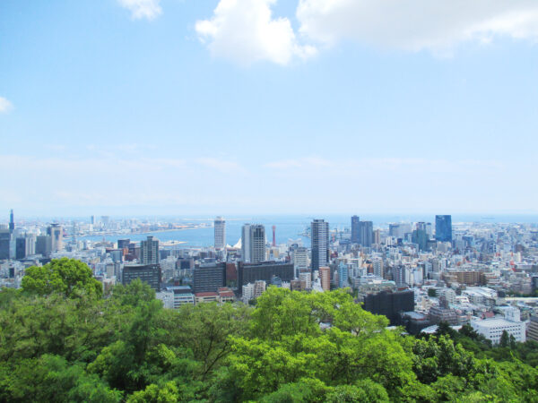 ビーナスブリッジから見た神戸市街地 3