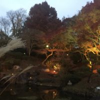 須磨離宮公園 紅葉 1