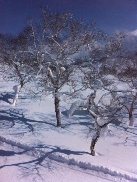 雪山