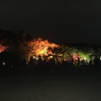 須磨離宮公園 紅葉 7