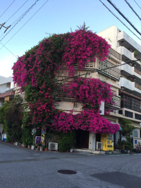 花に食べられた建物