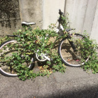 草に食べられた自転車