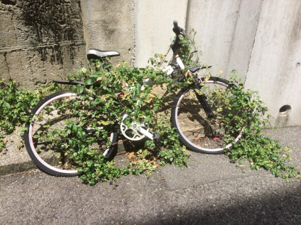 草に食べられた自転車