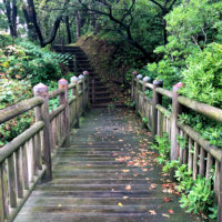 雨上がりの橋