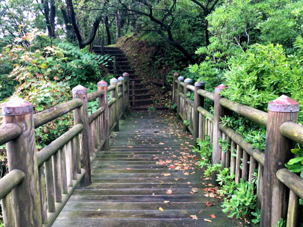 雨上がりの橋