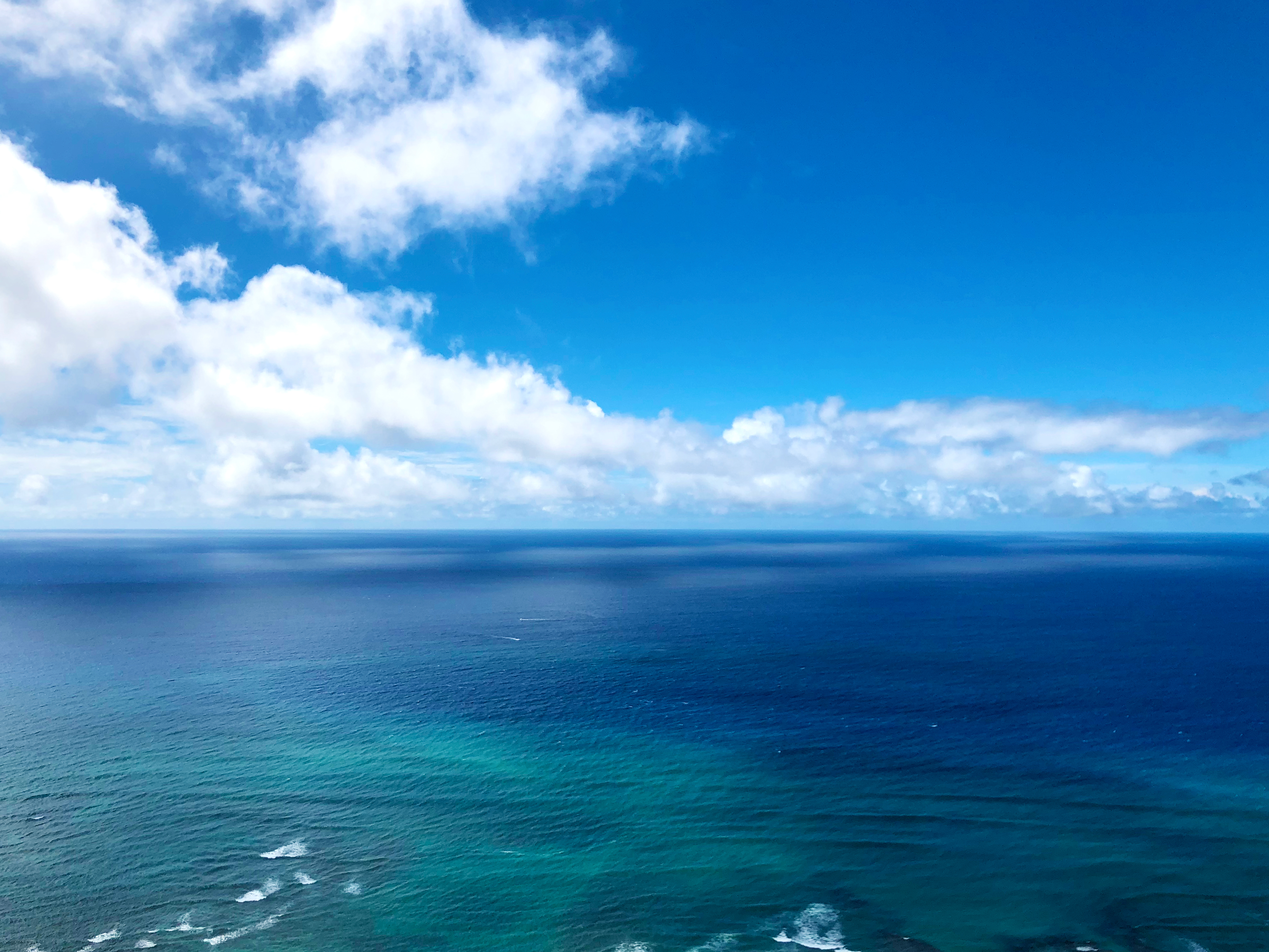 海 無料素材 ただ素晴らしい花