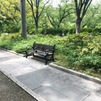 公園のベンチ 2
