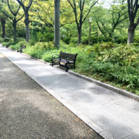 公園のベンチ 3
