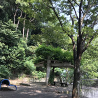 高台にある公園