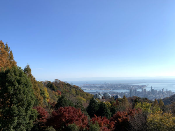 秋の神戸市 街並み 2