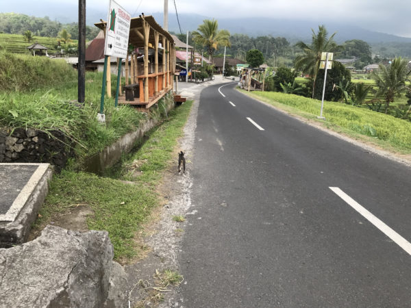 田舎の風景 1