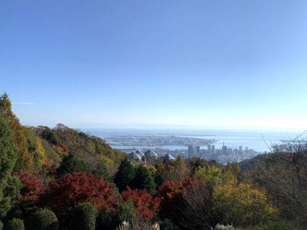 秋の神戸市 街並み 3