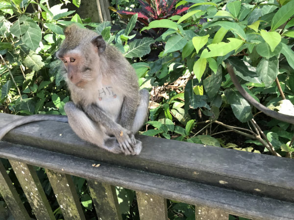 バリサル管区