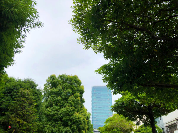 植物の緑とビル