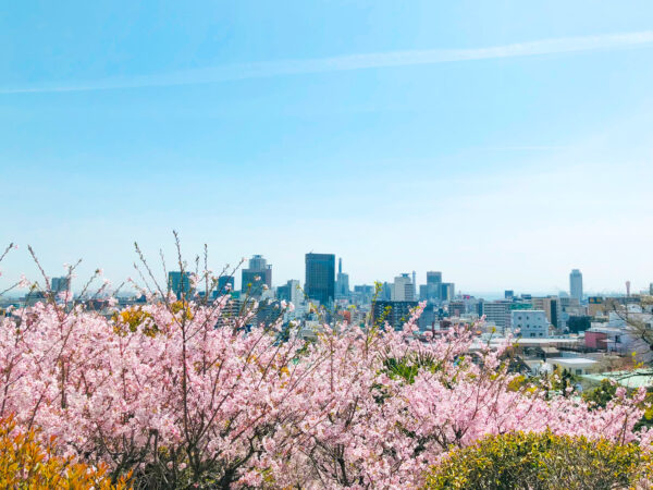 桜越しの神戸の街並み