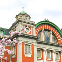 大阪市中央公会堂と桜