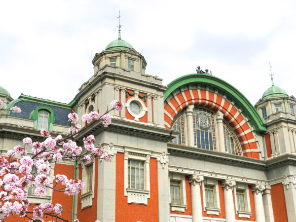 大阪市中央公会堂と桜