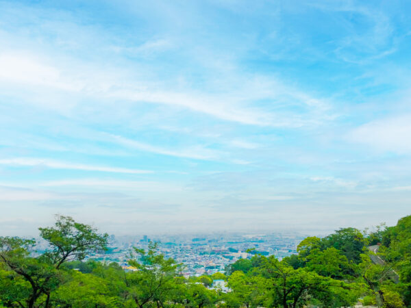 緑と空と街並み